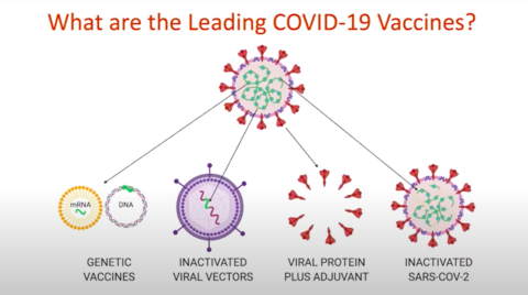 Key Quotes: Understanding How COVID-19 Vaccines Work | ICFJ